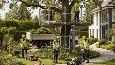 Dayton, OH tree service crew providing safe tree removal and landscaping for local properties